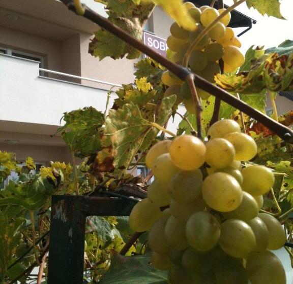 Bed and Breakfast Rooms Villa Aria