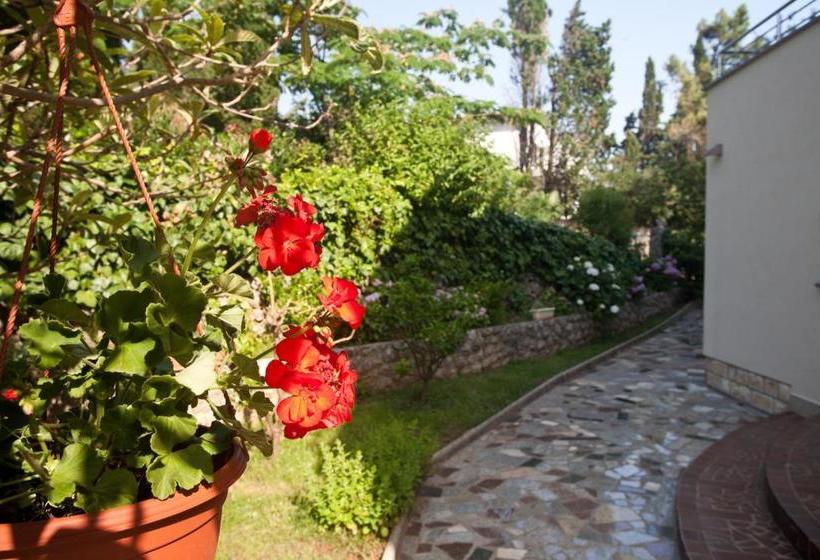 Bed & Breakfast Mario