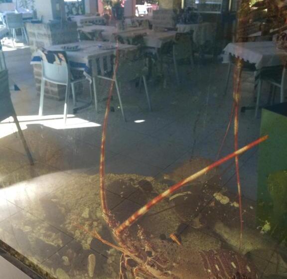 Gina Bed & Breakfast