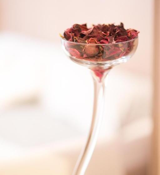 בית מלון כפרי Admiral Vinkovci