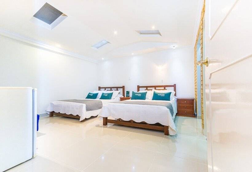 ホテル Ayenda San Fernando 1904