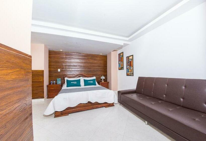 ホテル Ayenda San Fernando 1904