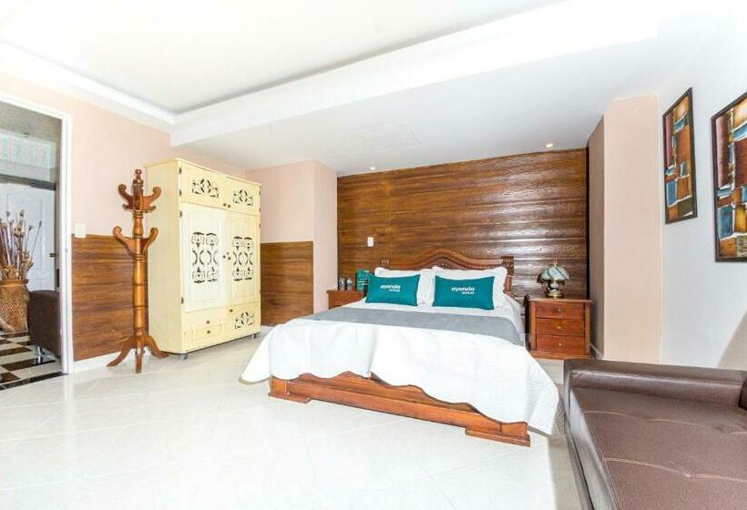 ホテル Ayenda San Fernando 1904