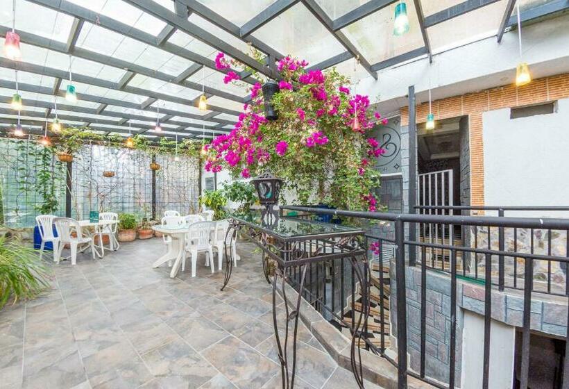 ホテル Ayenda San Fernando 1904