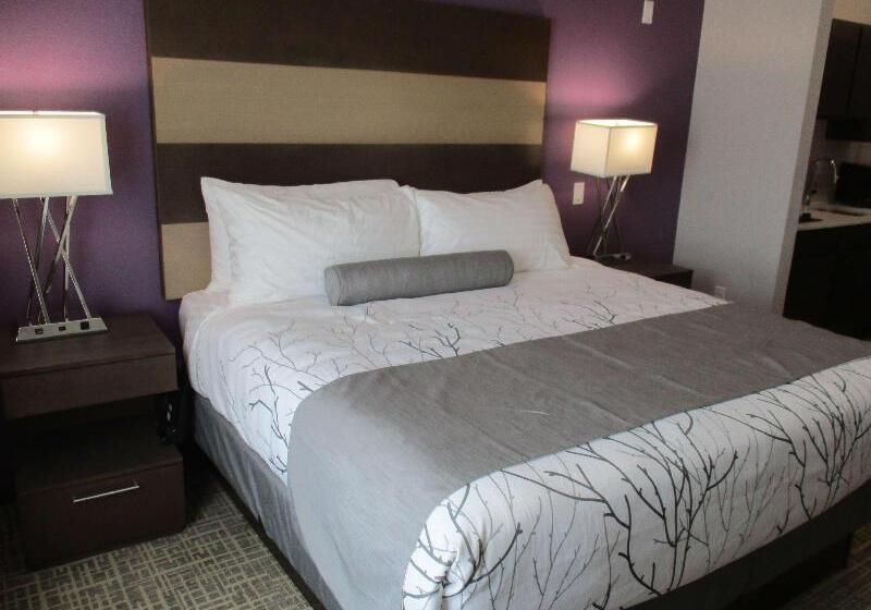 فندق Best Western Plus Buda Austin Inn & Suites