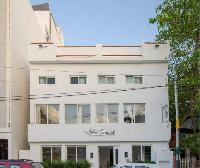 酒店 Caracol Puerto Morelos