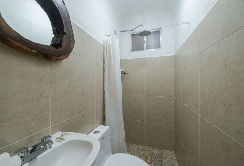 酒店 Caracol Puerto Morelos