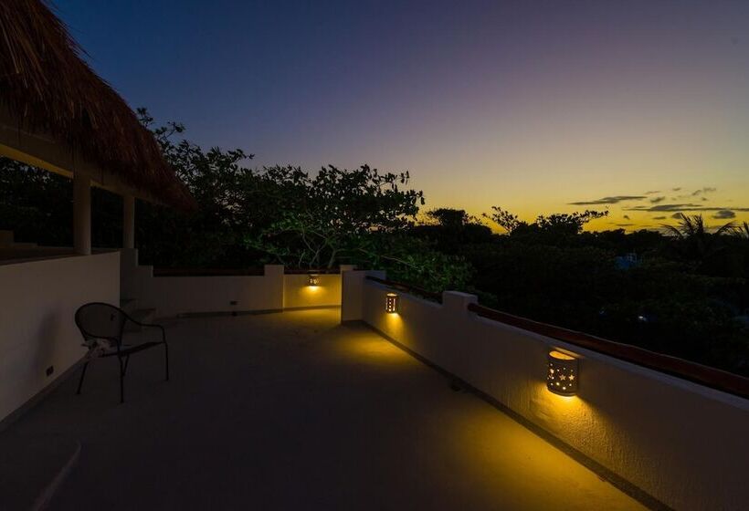 酒店 Caracol Puerto Morelos