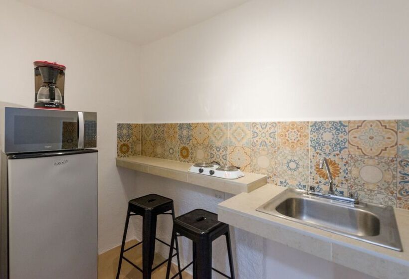 酒店 Caracol Puerto Morelos