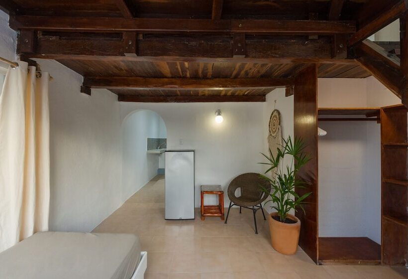 酒店 Caracol Puerto Morelos