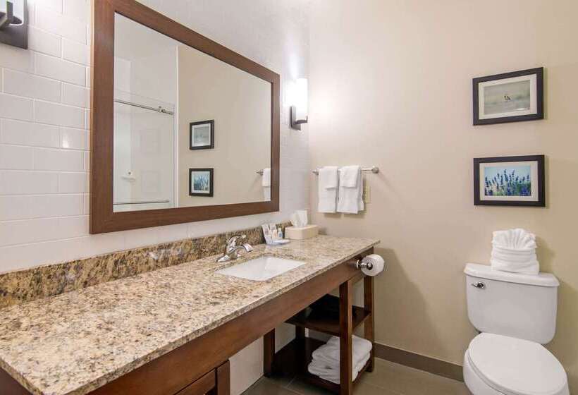 فندق Comfort Inn & Suites Independence