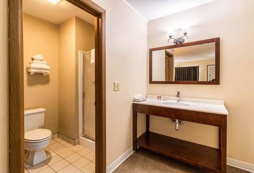 فندق Econo Lodge   Valley City