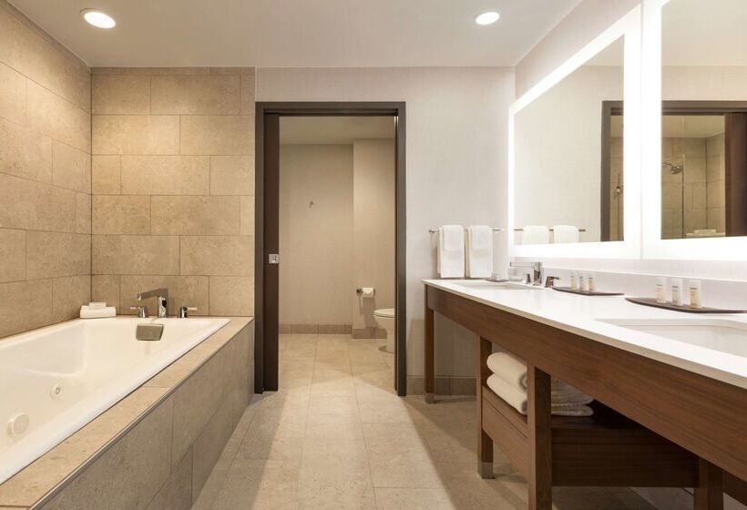 ホテル Embassy Suites By Hilton Denton Convention Center