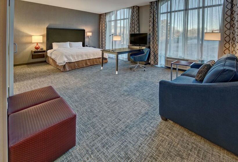 Отель Hampton Inn & Suites Franklin Berry Farms