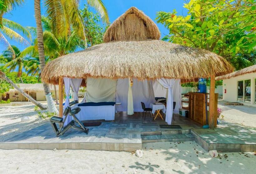 酒店 Paradise Suites