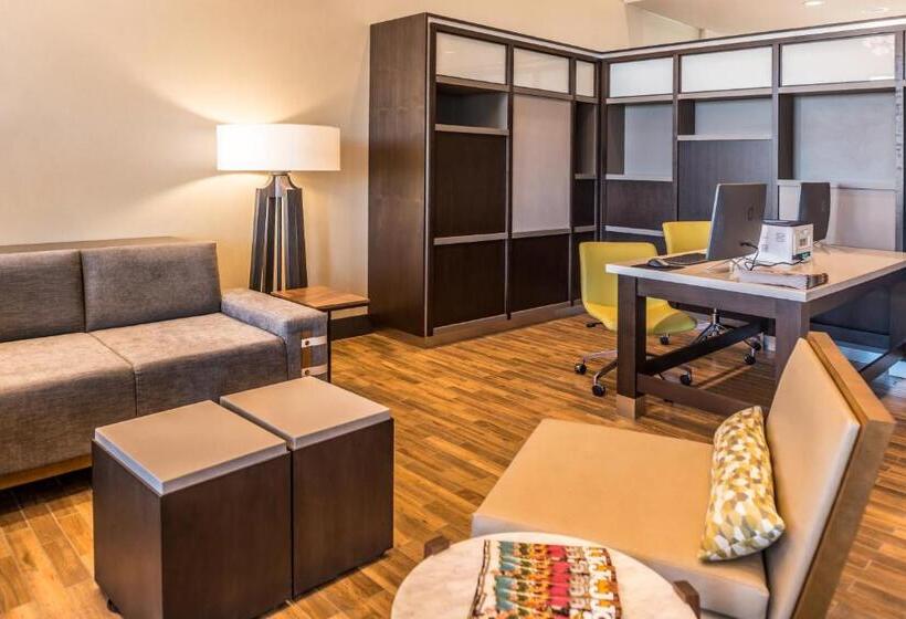 호텔 Holiday Inn Joplin, An Ihg