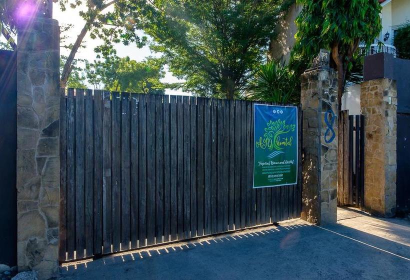 هاستل Ayo Homtel