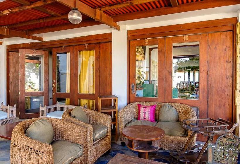 هاستل Ayo Homtel