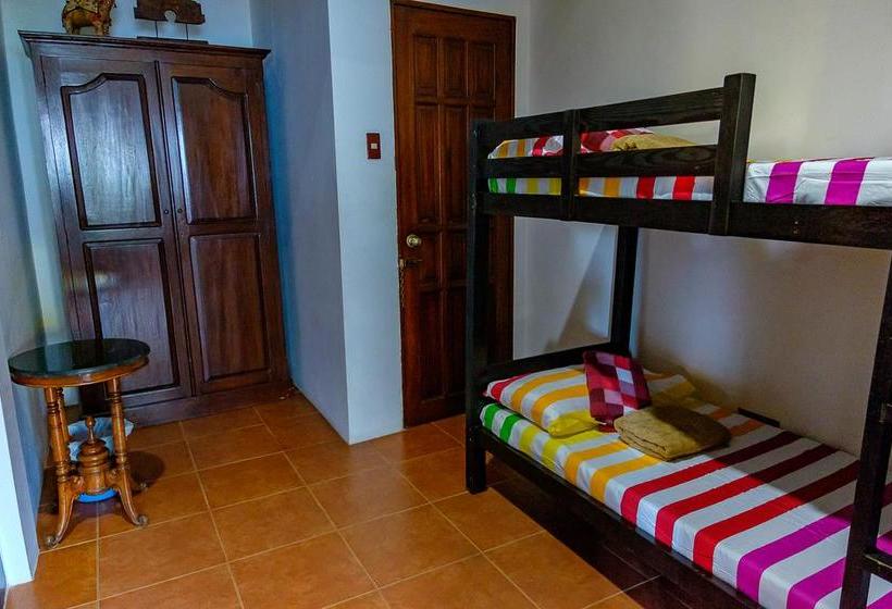 هاستل Ayo Homtel