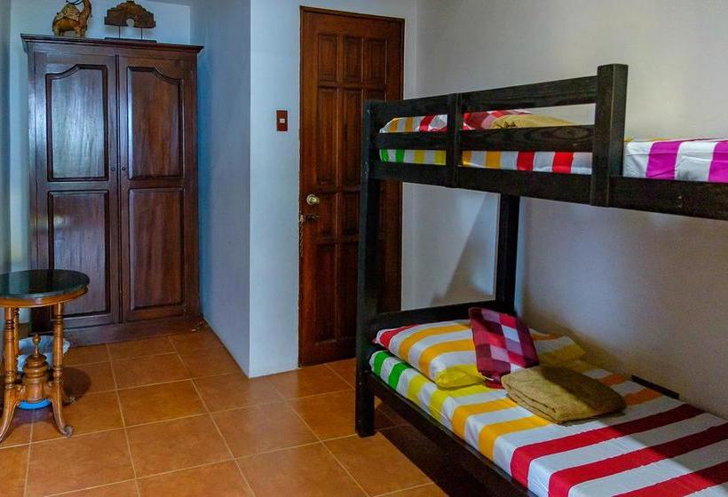 هاستل Ayo Homtel