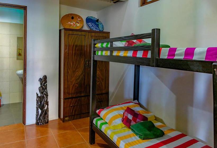 هاستل Ayo Homtel