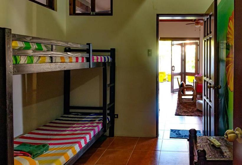 هاستل Ayo Homtel