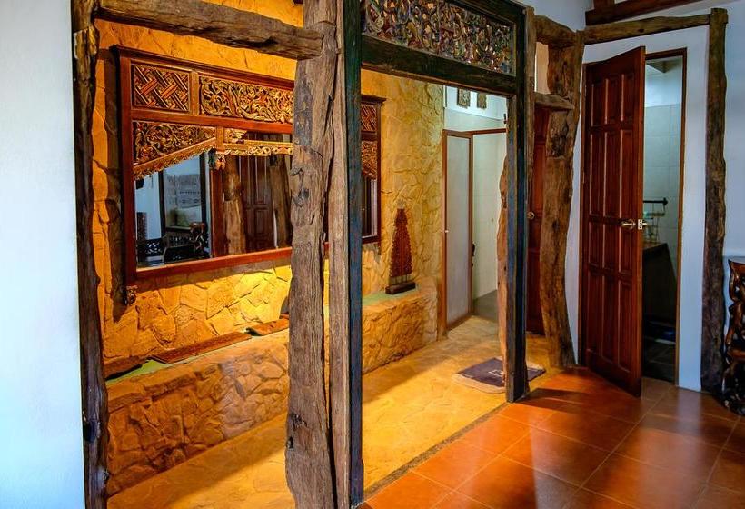 هاستل Ayo Homtel