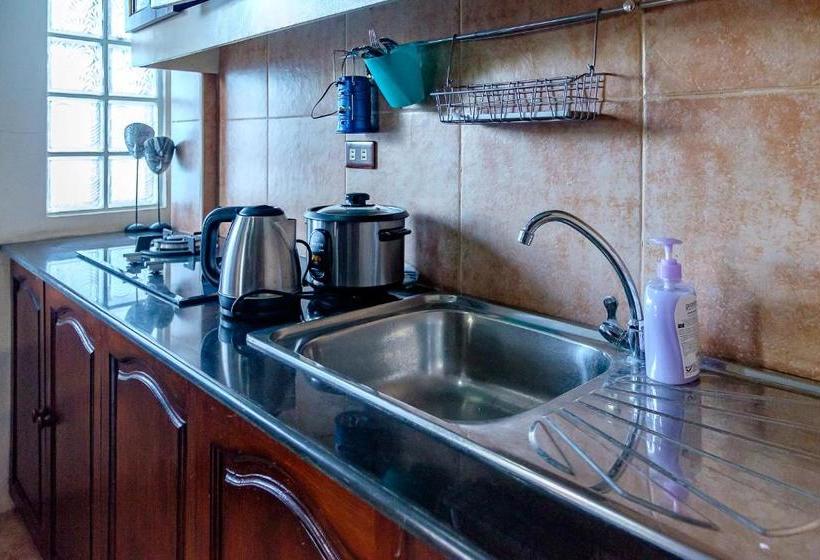 هاستل Ayo Homtel