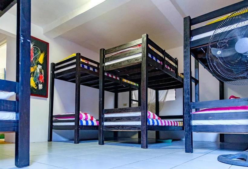 هاستل Ayo Homtel