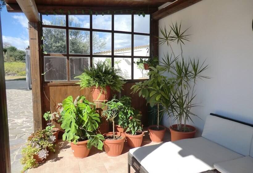 B&b Mediterraneo Mare E Sole