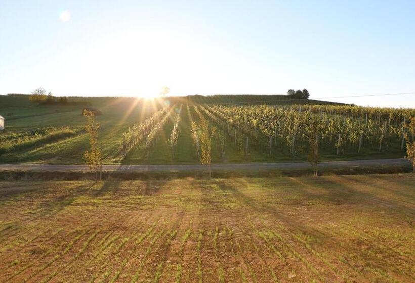 צימר Bed&breakfast Vinarija Coner