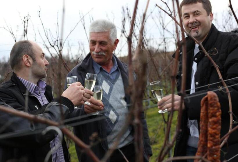 צימר Bed&breakfast Vinarija Coner