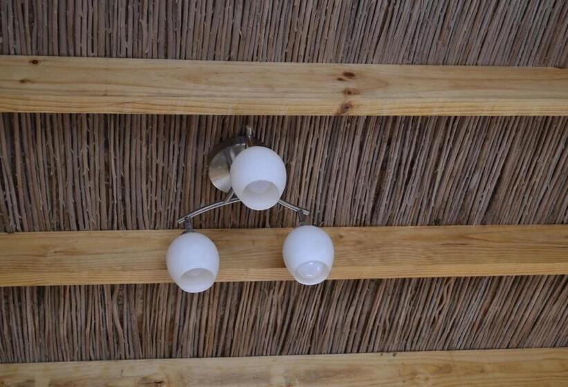 住宿加早餐  Hostal Y Cabañas Renta House San Pedro