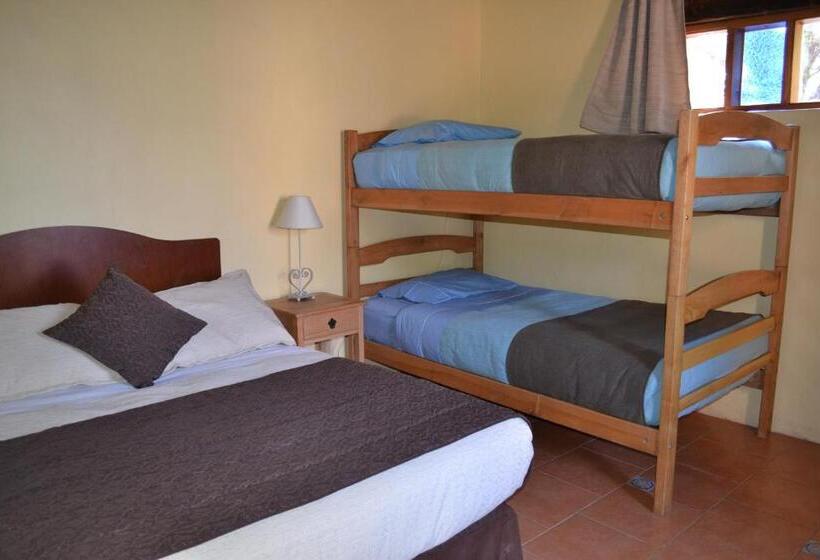 住宿加早餐  Hostal Y Cabañas Renta House San Pedro