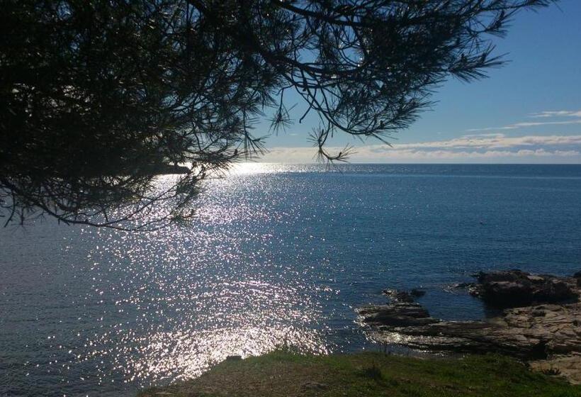 Bed & Breakfast Banjole