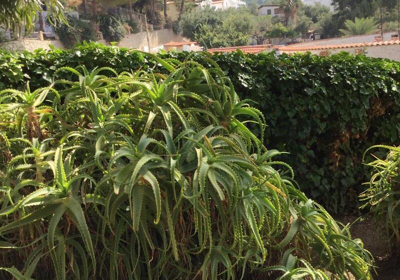 Хостел Villaggio Residence Marina Del Capo