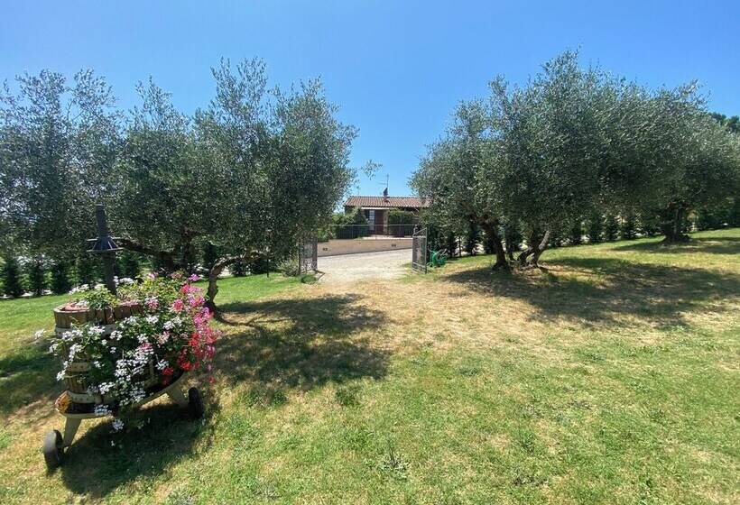 ホテル Agriturismo Privato La Casa Del Sole