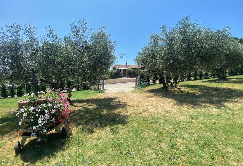 ホテル Agriturismo Privato La Casa Del Sole