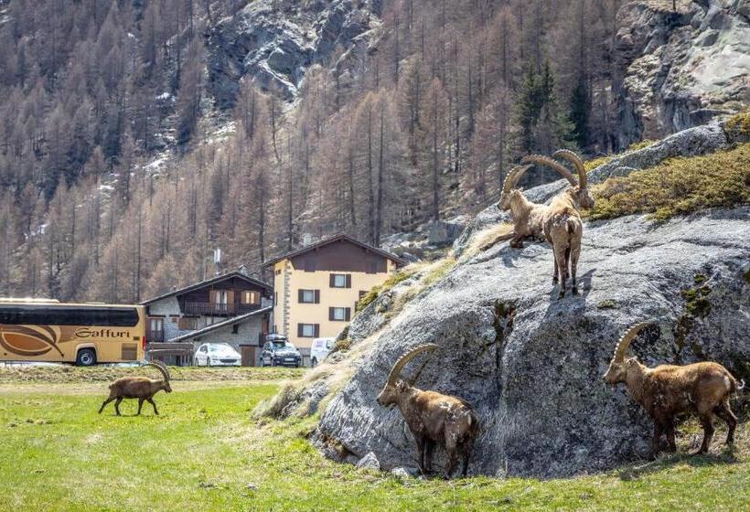 בית מלון כפרי Albergo Gran Paradiso