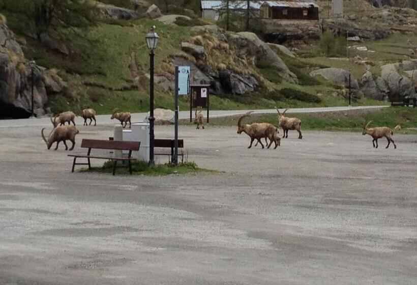 בית מלון כפרי Albergo Gran Paradiso