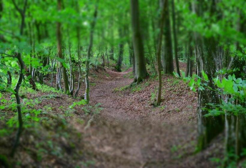 ホテル Almrefugio