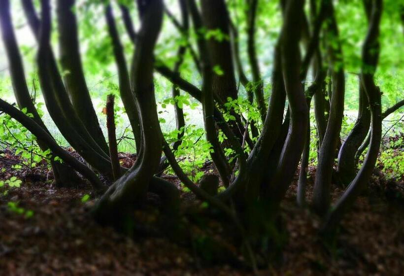 ホテル Almrefugio