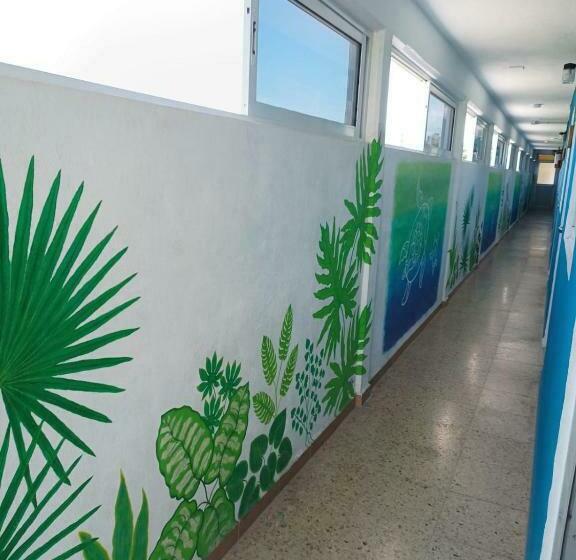 酒店 Blue Coconut Cancun