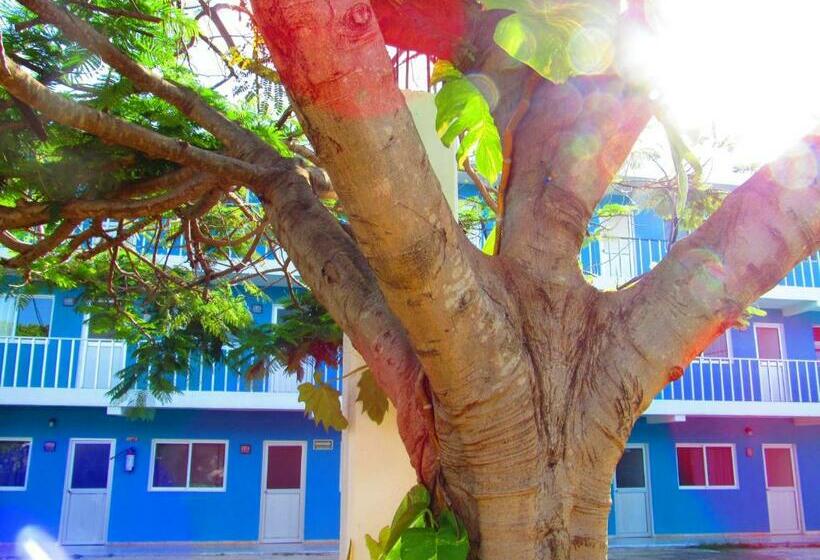 酒店 Blue Coconut Cancun