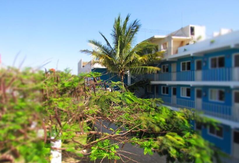 酒店 Blue Coconut Cancun