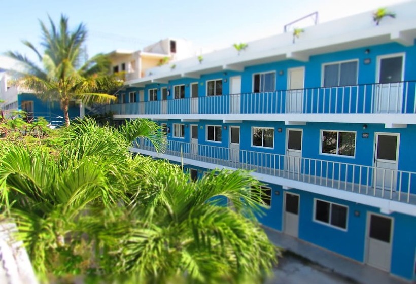 酒店 Blue Coconut Cancun