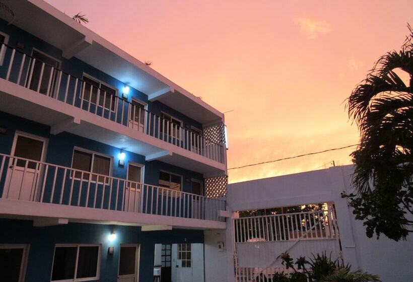 酒店 Blue Coconut Cancun