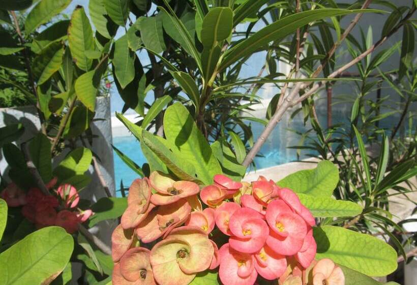 酒店 Blue Coconut Cancun