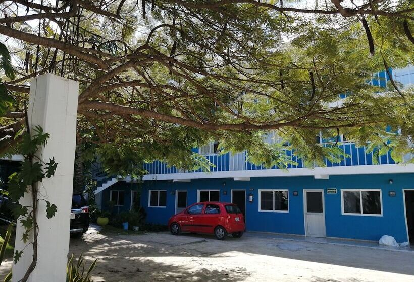 酒店 Blue Coconut Cancun