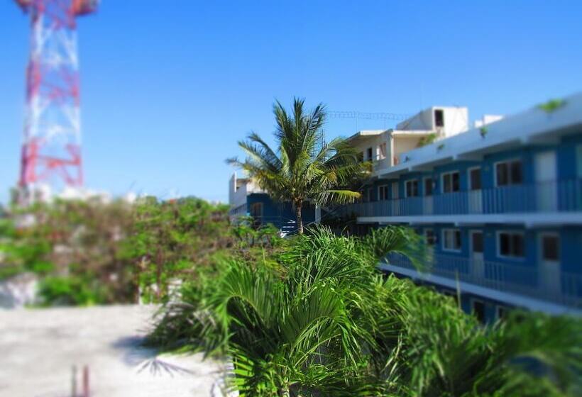 酒店 Blue Coconut Cancun